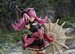 Estatua Fire Emblem 1-7 Hilda 27 cm