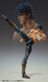 Figura Fist of the North Star Chozokado Kenshiro Muso Tensei Ver. 18 cm