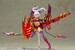 Model Kit Frame Arms Girl Hresvelgr = Rufus (Agito) 15 cm