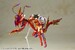 Model Kit Frame Arms Girl Hresvelgr = Rufus (Agito) 15 cm