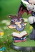 Figura Genshin Impact Durin Floral Wanderings Ver. with Bonus 13 cm