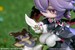 Figura Genshin Impact Durin Floral Wanderings Ver. with Bonus 13 cm