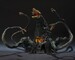 Figura Godzilla S.H.MonsterArts Biollante Wakasa Bay Decisive Battle Ver. 25 cm