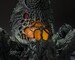 Figura Godzilla S.H.MonsterArts Biollante Wakasa Bay Decisive Battle Ver. 25 cm