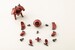 Model Kit Hexa Gear 1-24 Alternative Orb MSG Ver. 4 cm
