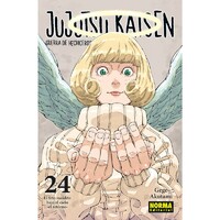 Jujutsu Kaisen 24
