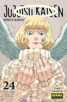 Jujutsu Kaisen 24