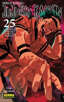 Jujutsu Kaisen 25