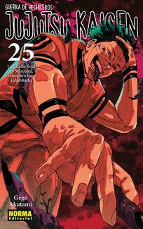 Jujutsu Kaisen 25