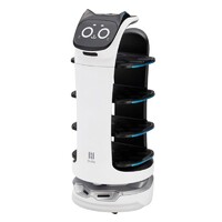 Maqueta Pudu Robotics Grande Scale BellaBot 19 cm