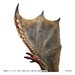 Figura Monster Hunter Capcom Figure Builder Creator's Model Seregios 28 cm