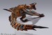 Figura Monster Hunter Rise Figura S.H. MonsterArts Tigrex 30 cm