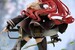 Figura Mushoku Tensei: Jobless Reincarnation III -Isekai Ittara Honki Dasu- 1-7 Eris Boreas Greyrat 25 cm
