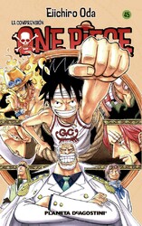 One Piece 45