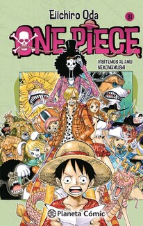 One Piece 81