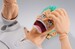 Figura One Piece S.H.Figuarts Dracule Mihawk Hawkeye 17 cm