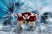 Figura One Piece S.H.Figuarts Edward Newgate -Marineford- 25 cm