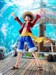 One Piece Figura S.H.Figuarts Monkey D. Luffy -Two Years Later- 15 cm
