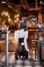 Estatua Original Character 1-6 Dongtan Bunny Girl 19 cm