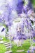 Figura Original Character New Cuddle Flower NF-002 Viola 15 cm