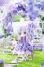 Figura Original Character New Cuddle Flower NF-002 Viola 15 cm