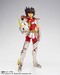 Figura Saint Seiya Saint Cloth Myth Pegasus Seiya (First Bronze Cloth) Revival Ver. 17 cm