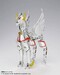 Figura Saint Seiya Saint Cloth Myth Pegasus Seiya (First Bronze Cloth) Revival Ver. 17 cm