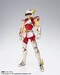 Figura Saint Seiya Saint Cloth Myth Pegasus Seiya (First Bronze Cloth) Revival Ver. 17 cm