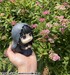 Estatua Sakamoto Days Look Up Osaragi 11 cm