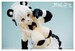 Figura Seductive Beast's 1-12 Fruit No. 002 Ranran 16 cm