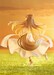 Estatua Spice and Wolf: Merchant Meets the Wise Wolf Pop Up Parade Holo: Abundant Harvest Ver. L Size 23 cm