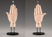 Maqueta Takahiro Kagami Artist Support Item Hand 1-1 Model-L Pale Orange 21 cm