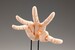 Maqueta Takahiro Kagami Artist Support Item Hand 1-1 Model-L Pale Orange 21 cm