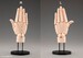 Maqueta Takahiro Kagami Artist Support Item Hand 1-1 Model-R Pale Orange 21 cm