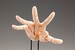 Maqueta Takahiro Kagami Artist Support Item Hand 1-1 Model-R Pale Orange 21 cm