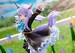 Estatua Uma Musume Pretty Derby 1-7 Mejiro McQueen The Treasure of the Prestigious Mejiro Family 26 cm