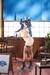 Estatua Vanistine Fantasy 1-6 Aurora Kunoichi Outfit Ver. Tapestry Set Edition 30 cm