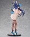 Estatua Vanistine Fantasy 1-6 Aurora Kunoichi Outfit Ver. Tapestry Set Edition 30 cm
