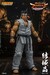 Figura Virtua Fighter 5 Ultimate Showdown Figura 1-12 Akira Yuki 18 cm